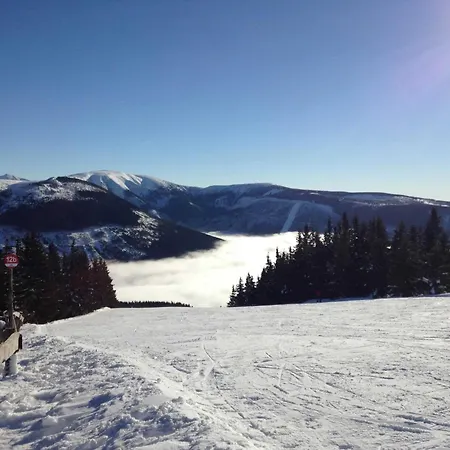 Апартаменты King Size Monika *