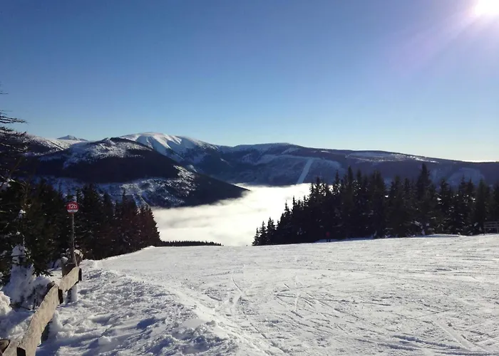 Appartement King Size Monika *